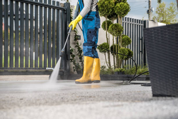 Best Roof Washing  in Bardmoor, FL